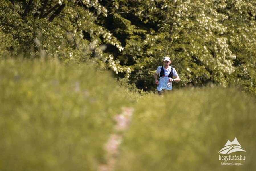 veroce trail salomon 