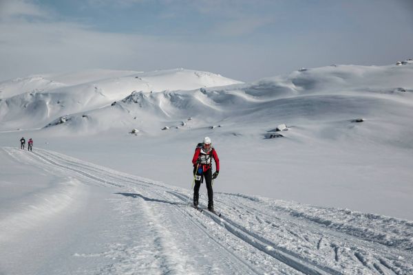 acr-2014-sifutas 600