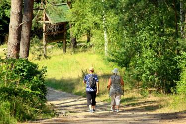 Szombaton lesz az Orsz&aacute;gos K&eacute;kt&uacute;r&aacute;z&aacute;s napja: 1 nap, 143 t&uacute;ra, 2581 km