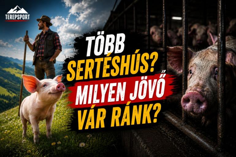 Egy&uuml;nk t&ouml;bb diszn&oacute;h&uacute;st, hogy megments&uuml;k a... kit is?