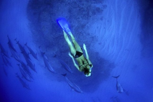 Nahrin magnézium kapszula, a szív és idegrendszer segítője